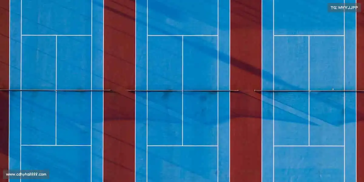 为什么选择我们